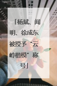 杨斌、闻明、徐成东被授予“云岭楷模”称号