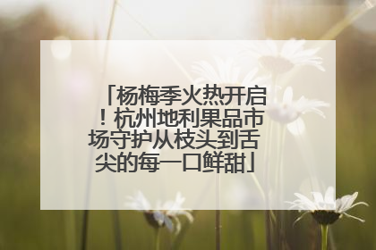 杨梅季火热开启！杭州地利果品市场守护从枝头到舌尖的每一口鲜甜