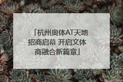 杭州奥体AT天地招商启幕 开启文体商融合新篇章