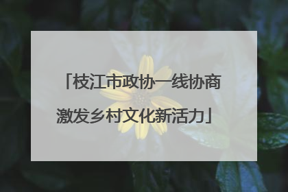 枝江市政协一线协商激发乡村文化新活力