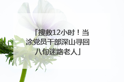搜救12小时！当涂党员干部深山寻回八旬迷路老人