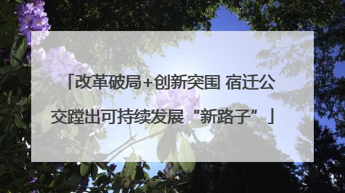 改革破局+创新突围 宿迁公交蹚出可持续发展“新路子”