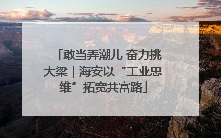 敢当弄潮儿 奋力挑大梁｜海安以“工业思维”拓宽共富路