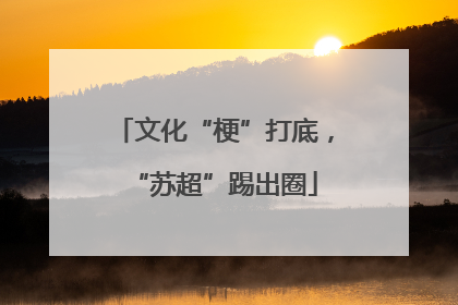 文化“梗”打底，“苏超”踢出圈
