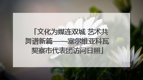 文化为媒连双城 艺术共舞谱新篇——塞尔维亚科瓦契察市代表团访问日照