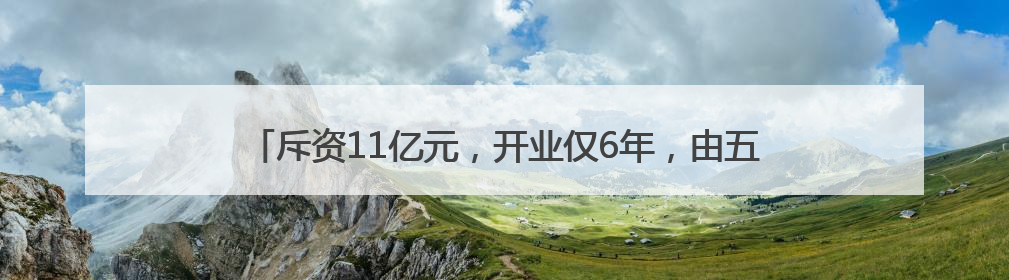 斥资11亿元，开业仅6年，由五星酒店改成的“高端妇产医院”破产重整！登记债权总额已超17亿元