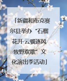 新疆和布克赛尔县举办“石榴花开·云骥逐风·牧野欢歌”文化演出季活动