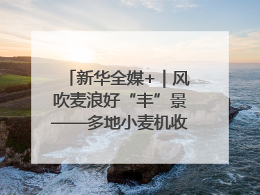 新华全媒+｜风吹麦浪好“丰”景——多地小麦机收一线见闻
