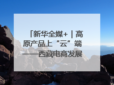新华全媒+｜高原产品上“云”端——西藏电商发展一线观察