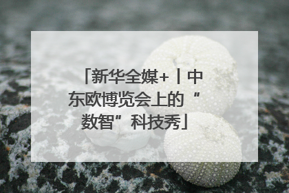 新华全媒+丨中东欧博览会上的“数智”科技秀