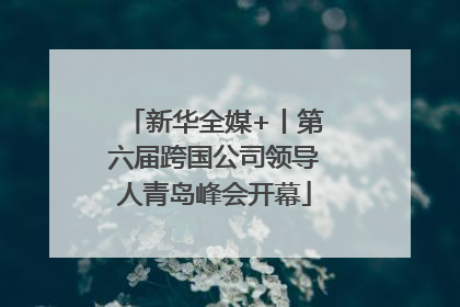 新华全媒+丨第六届跨国公司领导人青岛峰会开幕