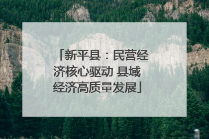 新平县：民营经济核心驱动 县域经济高质量发展