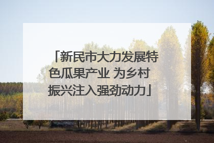 新民市大力发展特色瓜果产业 为乡村振兴注入强劲动力