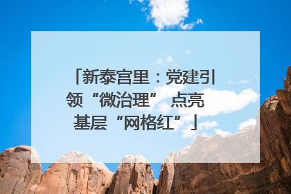 新泰宫里：党建引领“微治理” 点亮基层“网格红”