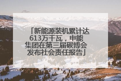 新能源装机累计达613万千瓦，申能集团在第三届碳博会发布社会责任报告