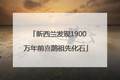 新西兰发现1900万年前喜鹊祖先化石