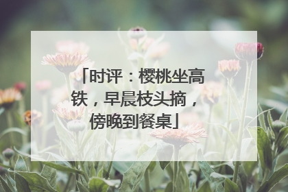 时评：樱桃坐高铁，早晨枝头摘，傍晚到餐桌