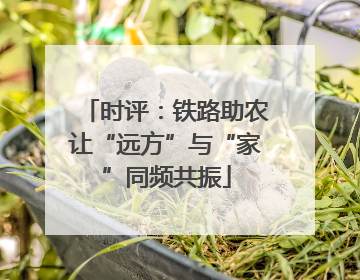 时评：铁路助农让“远方”与“家”同频共振