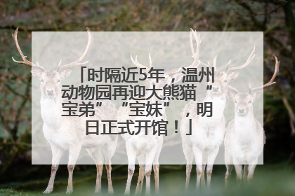 时隔近5年，温州动物园再迎大熊猫“宝弟”“宝妹”，明日正式开馆！