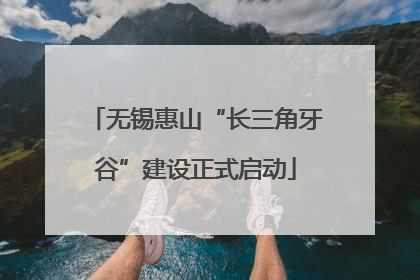 无锡惠山“长三角牙谷”建设正式启动
