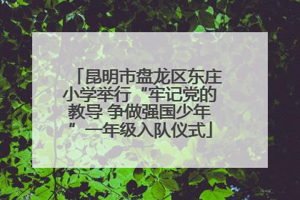 昆明市盘龙区东庄小学举行“牢记党的教导 争做强国少年”一年级入队仪式