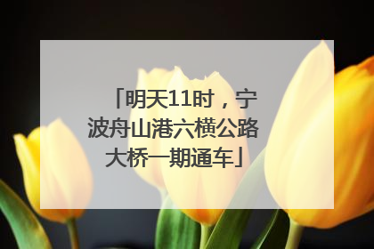 明天11时，宁波舟山港六横公路大桥一期通车
