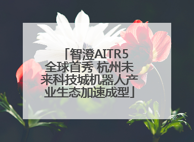 智澄AITR5全球首秀 杭州未来科技城机器人产业生态加速成型