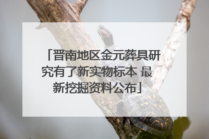 晋南地区金元葬具研究有了新实物标本 最新挖掘资料公布