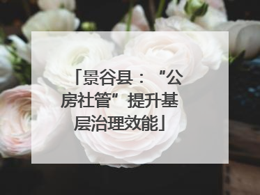 景谷县：“公房社管”提升基层治理效能