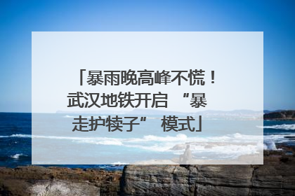 暴雨晚高峰不慌！武汉地铁开启 “暴走护犊子” 模式