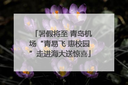 暑假将至 青岛机场“青易飞 惠校园”走进海大送惊喜