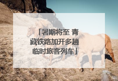暑期将至 青藏铁路加开多趟临时旅客列车