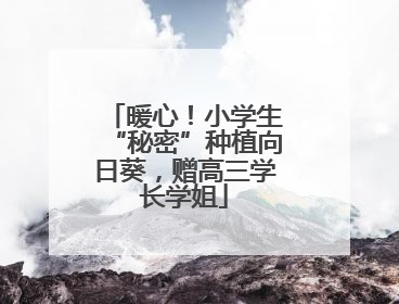 暖心！小学生“秘密”种植向日葵，赠高三学长学姐
