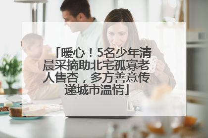 暖心！5名少年清晨采摘助北宅孤寡老人售杏，多方善意传递城市温情