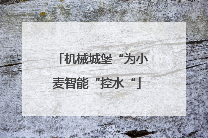 机械城堡“为小麦智能“控水“