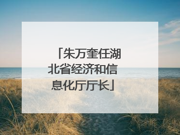 朱万奎任湖北省经济和信息化厅厅长