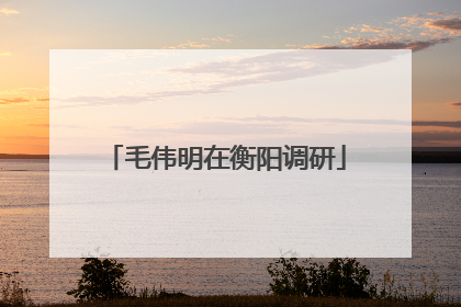 毛伟明在衡阳调研