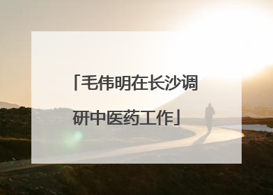 毛伟明在长沙调研中医药工作