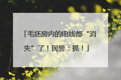 毛坯房内的电线都“消失”了！民警：抓！