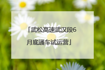 武松高速武汉段6月底通车试运营