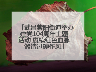 武昌紫阳街道举办建党104周年主题活动 赓续红色血脉锻造过硬作风
