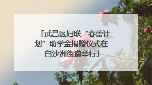 武昌区妇联“春蕾计划”助学金捐赠仪式在白沙洲街道举行
