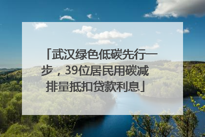 武汉绿色低碳先行一步，39位居民用碳减排量抵扣贷款利息