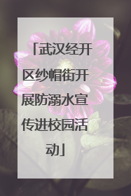 武汉经开区纱帽街开展防溺水宣传进校园活动