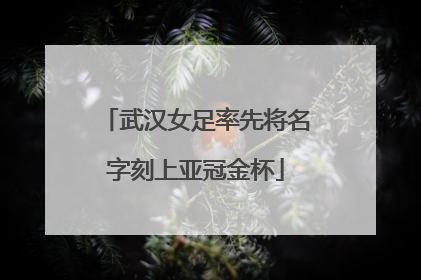 武汉女足率先将名字刻上亚冠金杯