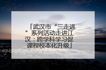 武汉市“三走进”系列活动走进江汉：跨学科学习促课程校本化升级