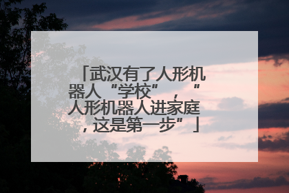 武汉有了人形机器人“学校”，“人形机器人进家庭，这是第一步”