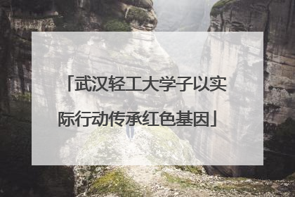 武汉轻工大学子以实际行动传承红色基因