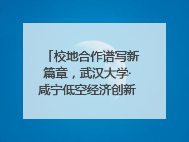 校地合作谱写新篇章，武汉大学·咸宁低空经济创新研究院签约成立
