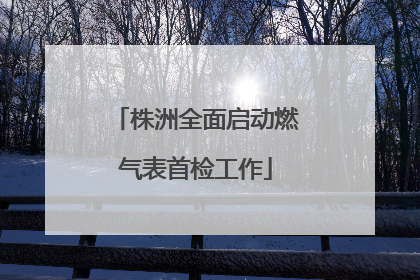 株洲全面启动燃气表首检工作